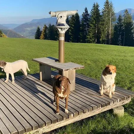 Pfoten Und Berge Apartamento Oberreute