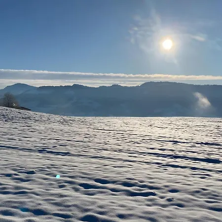 Apartamento Pfoten Und Berge Oberreute