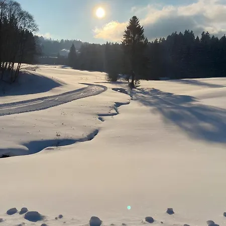 Pfoten Und Berge