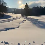 Pfoten Und Berge