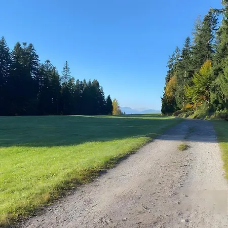 Pfoten Und Berge