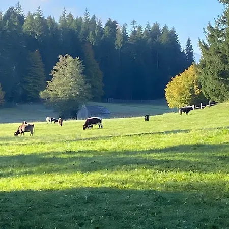 아파트 Pfoten Und Berge *
