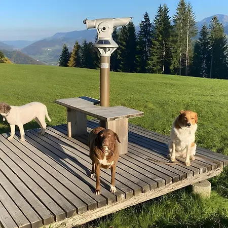 Pfoten Und Berge * 오베로이테