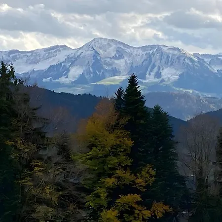 Pfoten Und Berge * 오베로이테