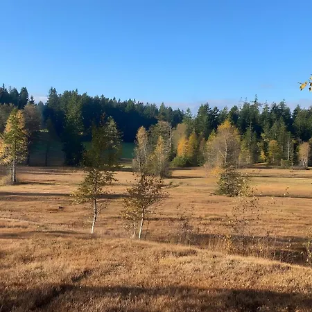 Pfoten Und Berge *