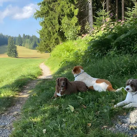 Pfoten Und Berge 오베로이테