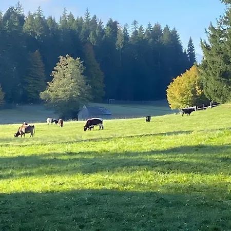 Pfoten Und Berge 오베로이테