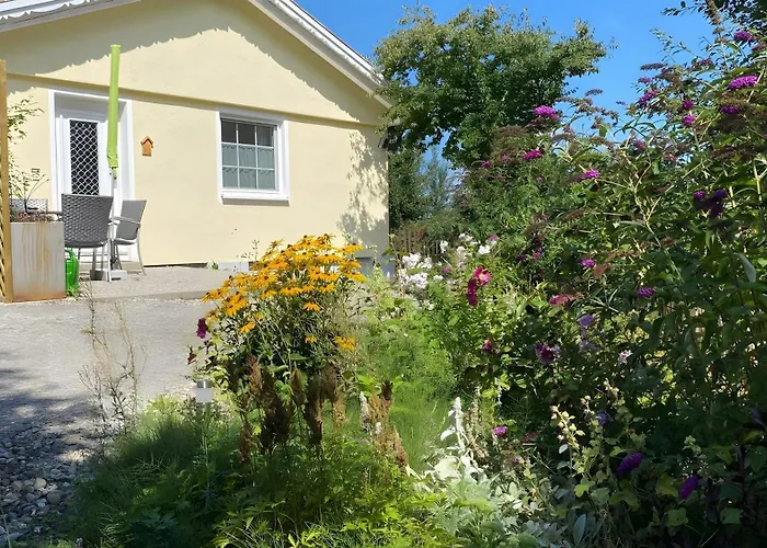 Apartment Pfoten Und Berge