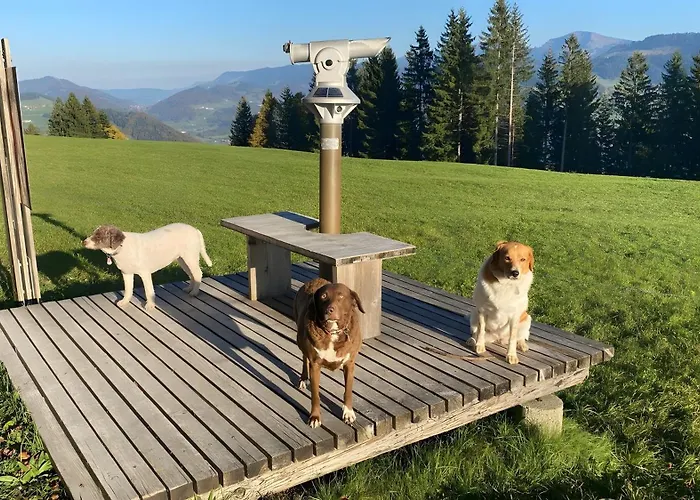 Pfoten Und Berge Apartment Oberreute