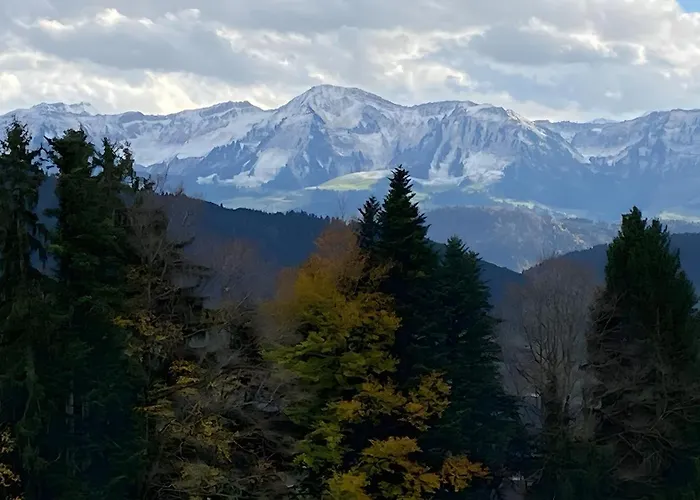 Pfoten Und Berge Oberreute