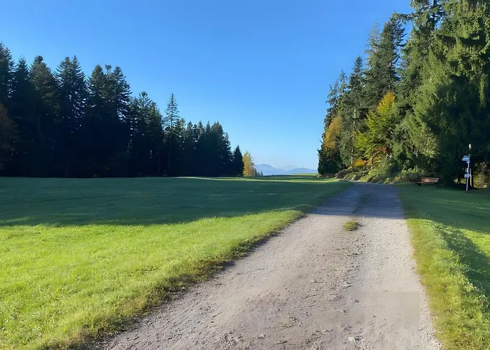 Pfoten Und Berge