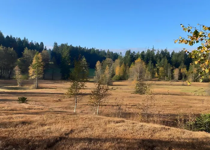 Pfoten Und Berge Appartement Oberreute