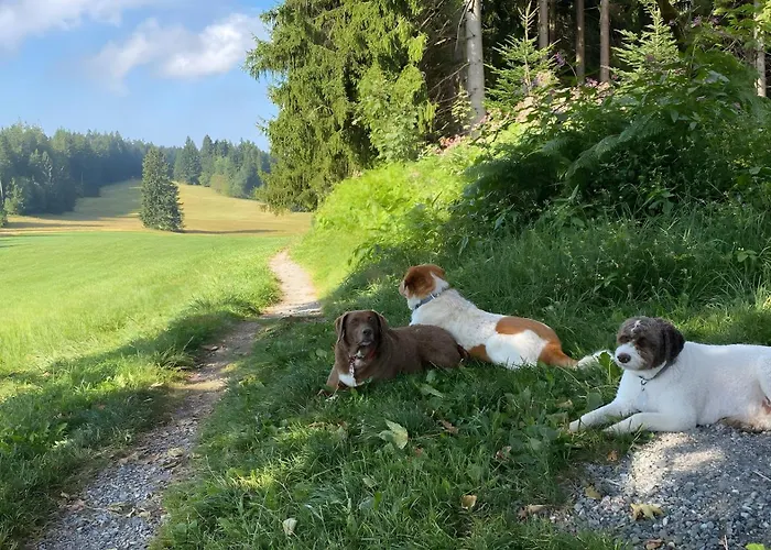 Pfoten Und Berge Apartment *