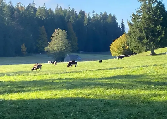 Apartment Pfoten Und Berge *