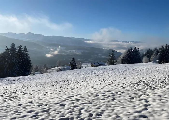Pfoten Und Berge Oberreute