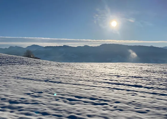 Appartement Pfoten Und Berge Oberreute