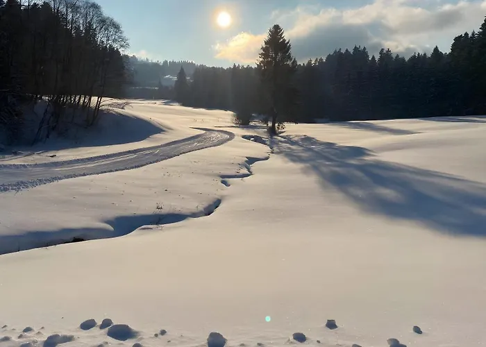 Pfoten Und Berge
